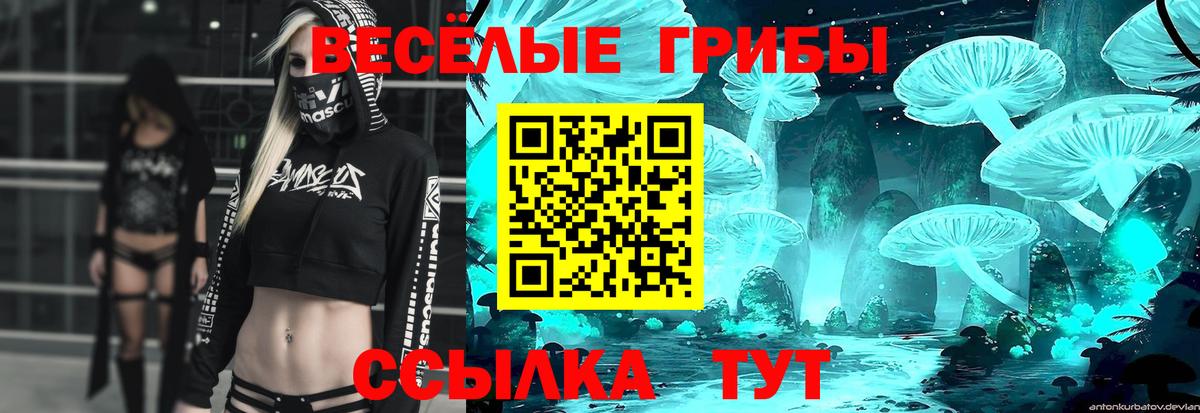 Галлюциногенные грибы мухоморы Черняховск